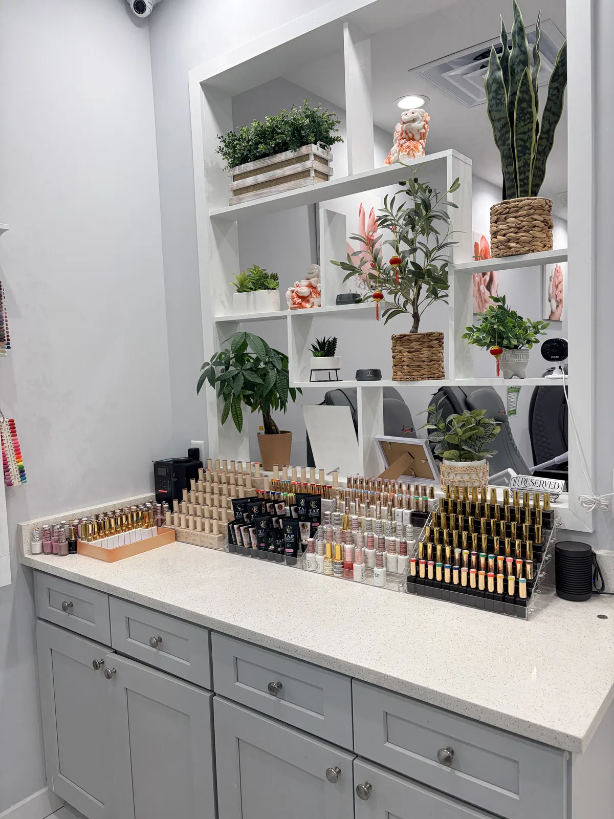 A wall of premium gel polish with greenery and natural light at the studio